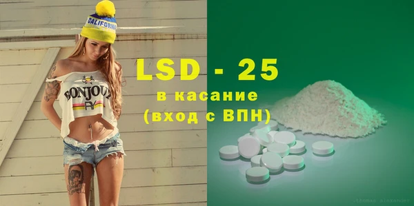индика Апатиты