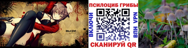 Галлюциногенные грибы Magic Shrooms Купино
