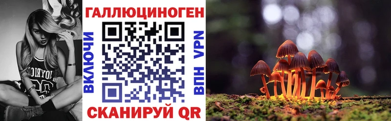 Псилоцибиновые грибы ЛСД  гидра ссылки  Купино 